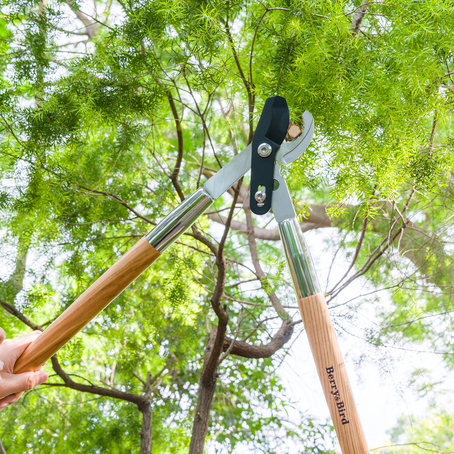 Garden Bypass Lopper