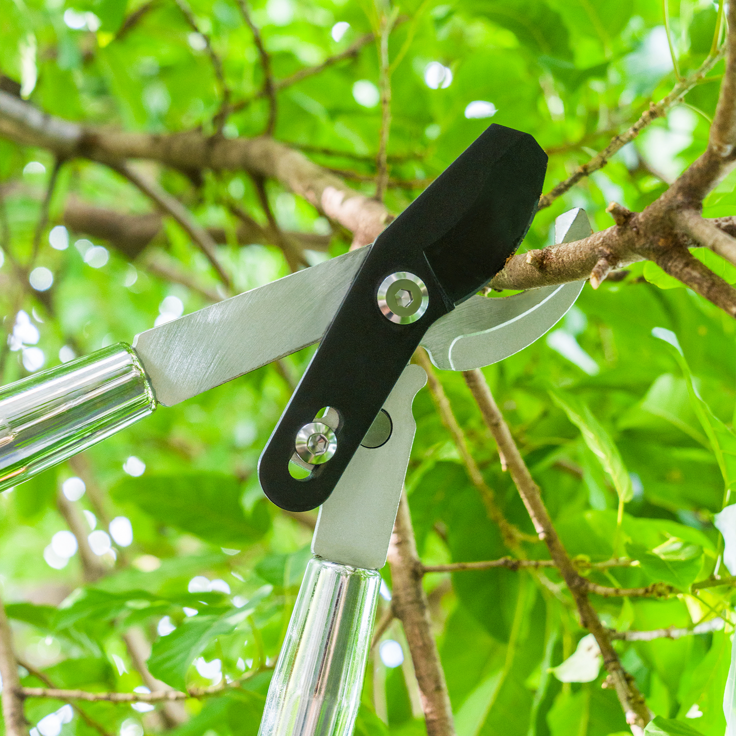 Garden Bypass Lopper