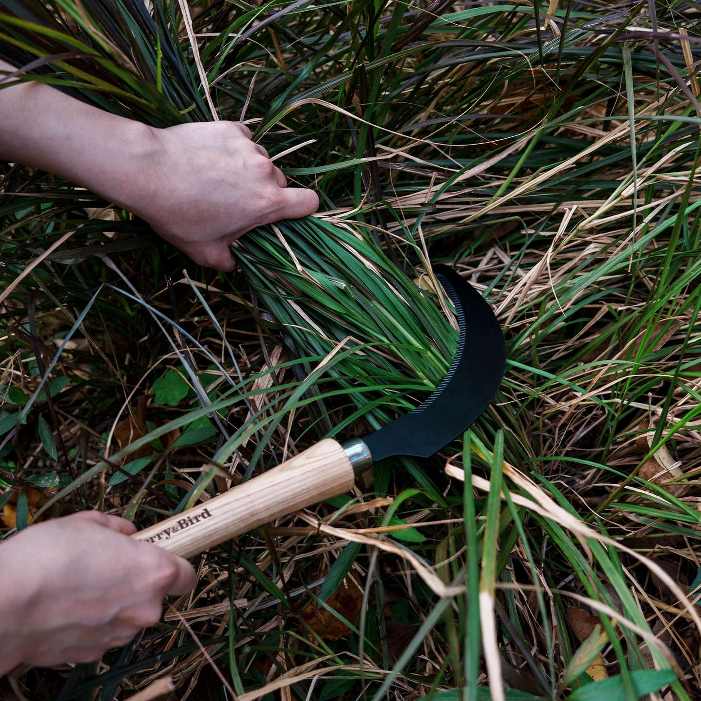 Garden Hand Sickle
