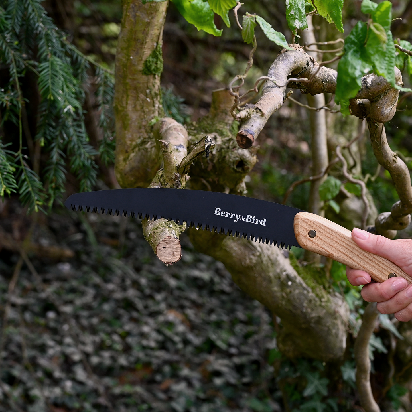 Garden Pruning Saw