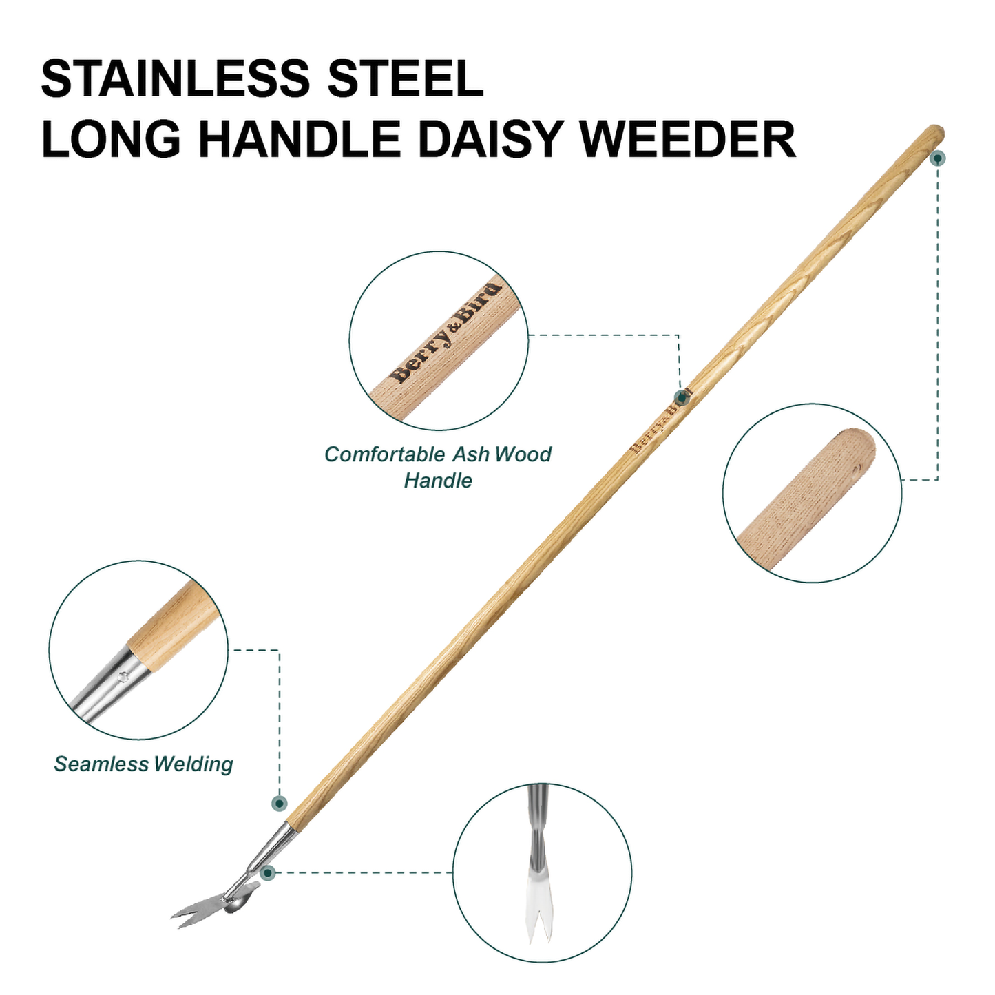 Stainless Steel Long Handle Daisy Weeder
