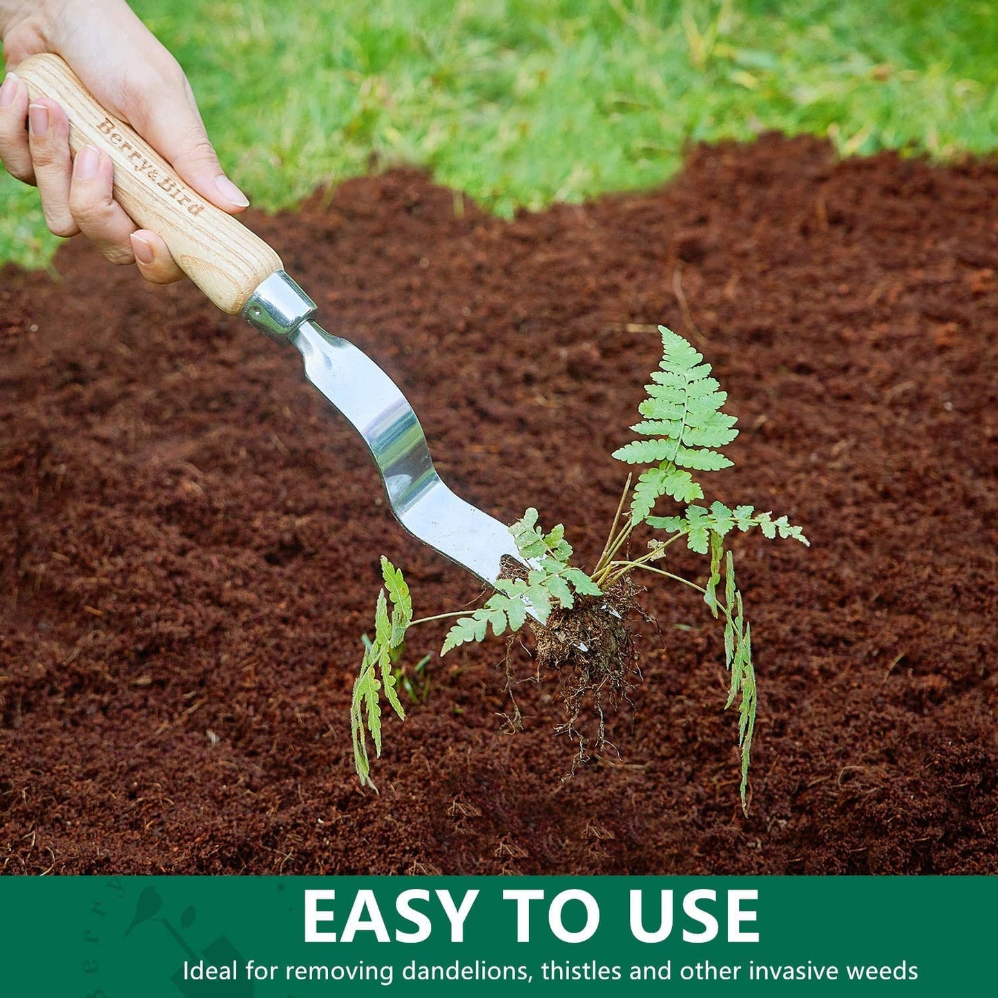 Stainless Steel Hand Daisy Grubber