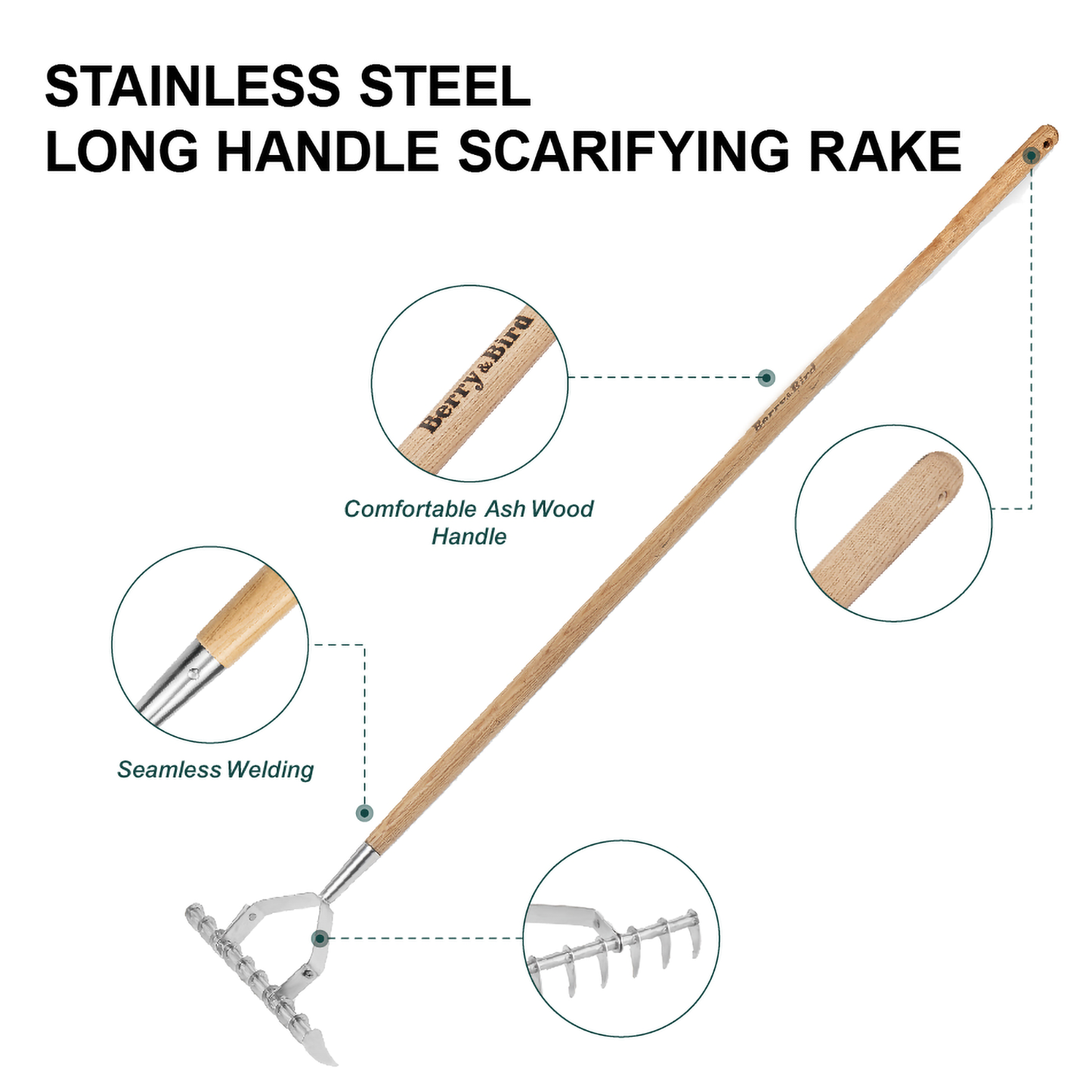 Stainless Steel Long Handle Scarifying Rake