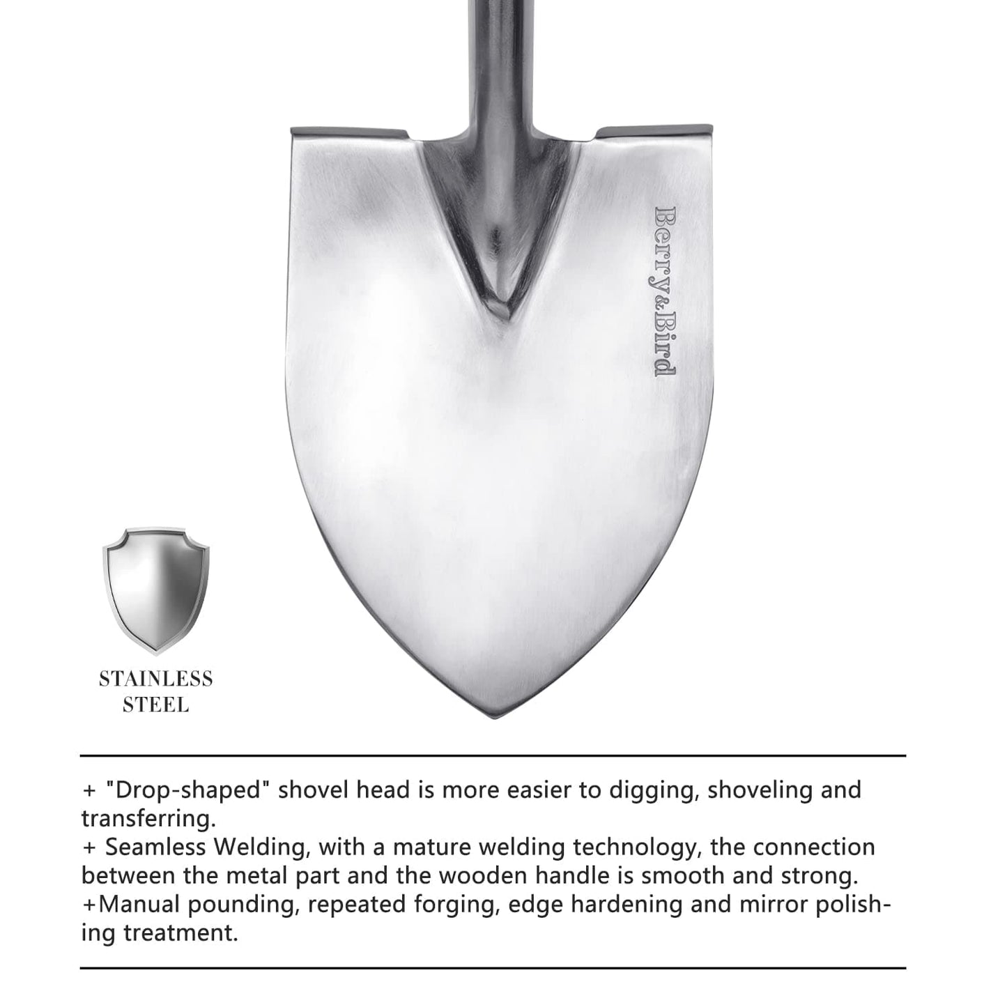 Stainless Steel Border Pointed Spade