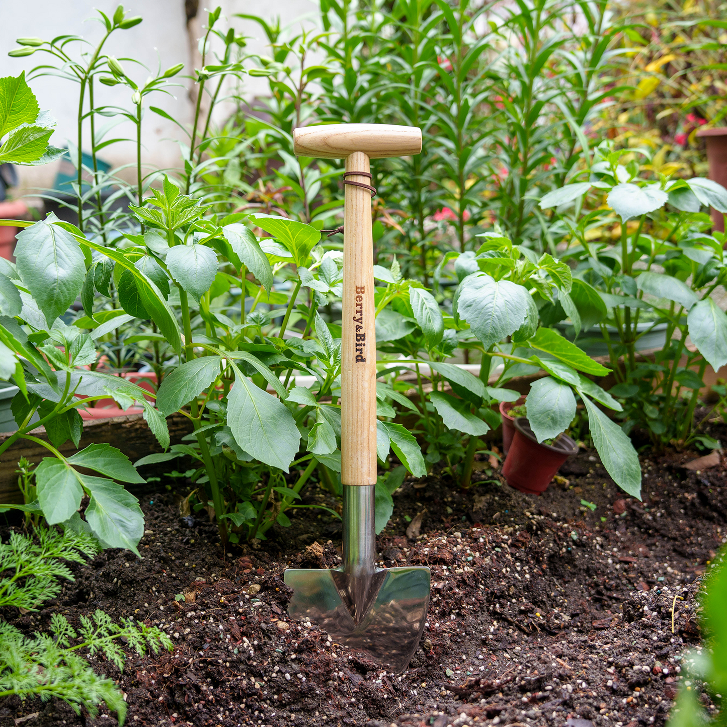 Perennial Shovel