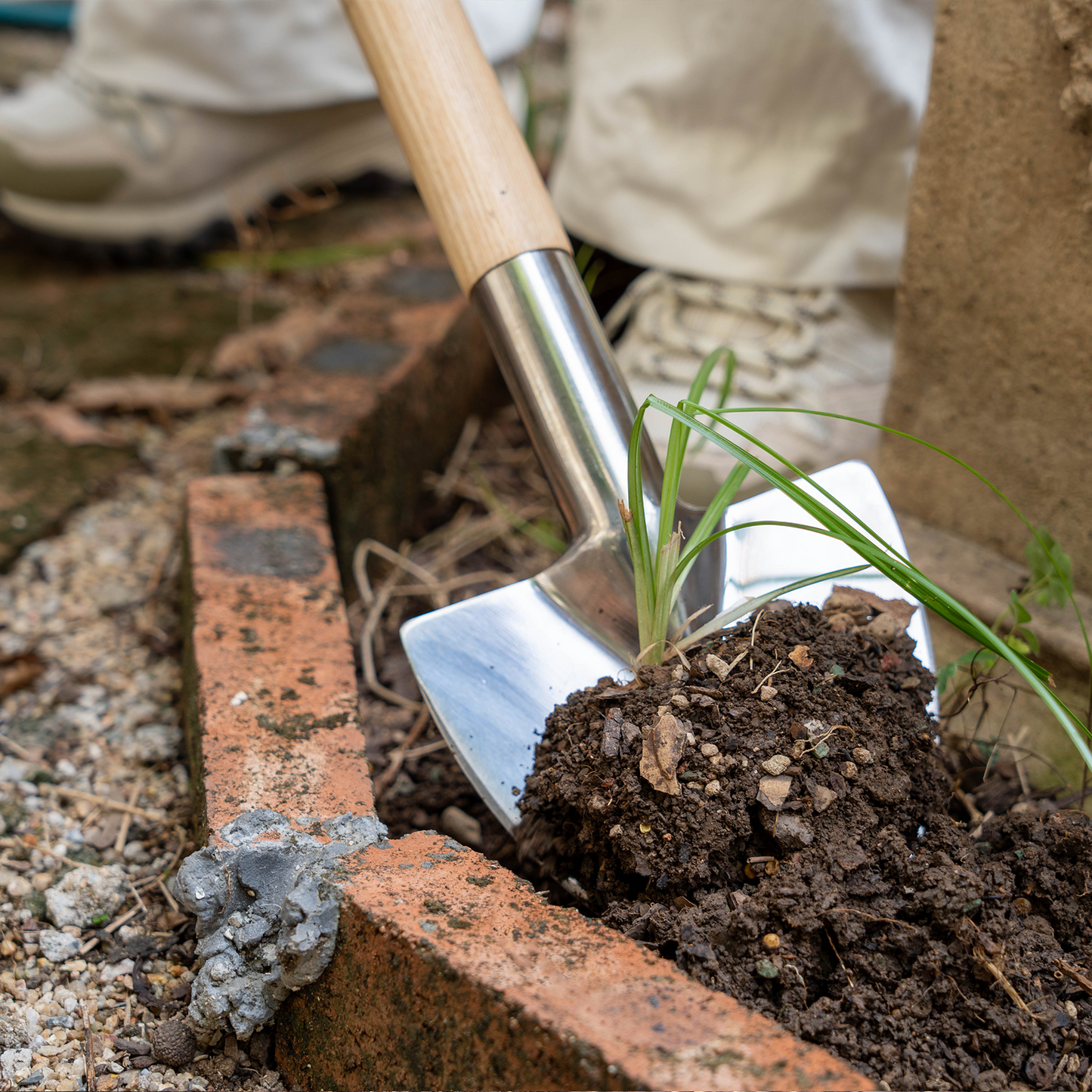 Perennial Shovel