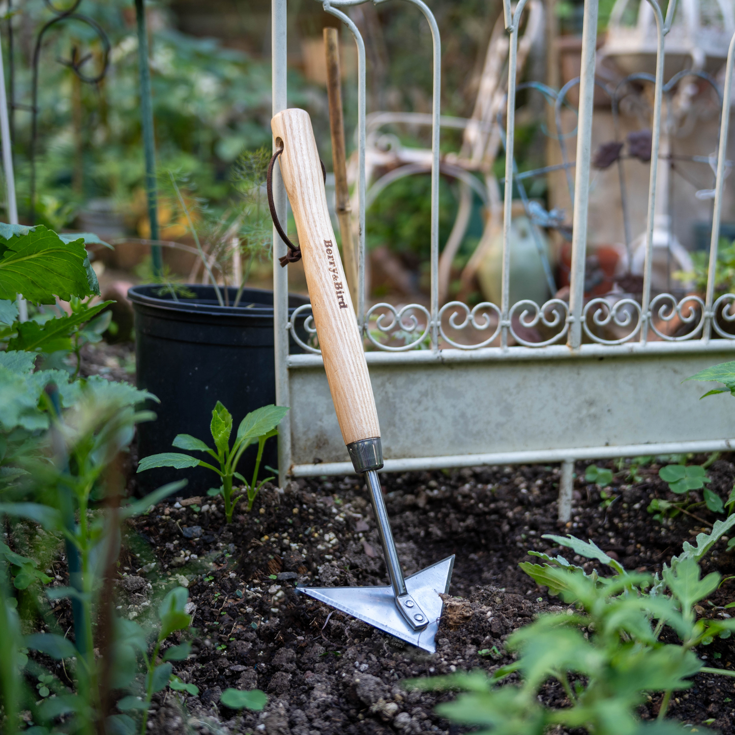 Stainless Steel Border Hand Multi-Weeder