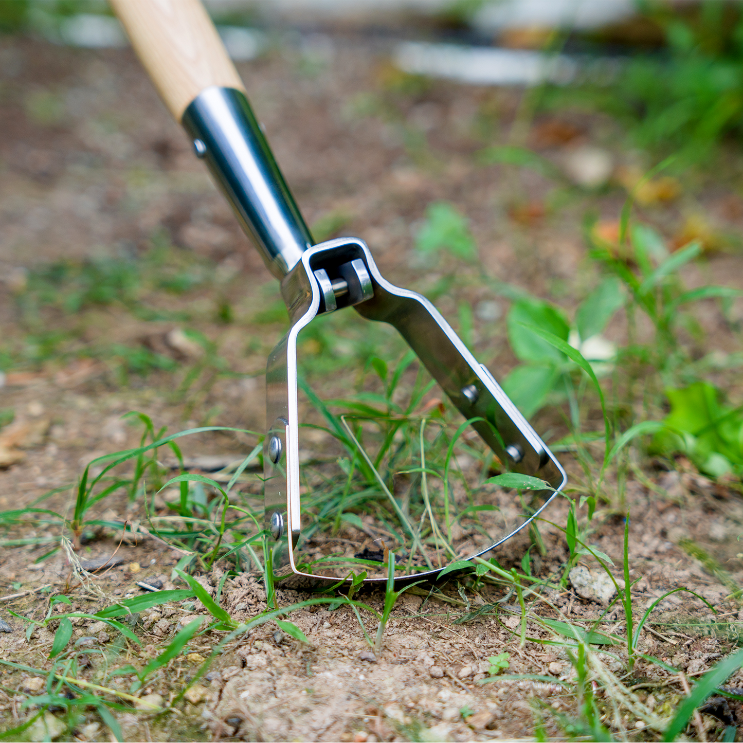 Stainless Steel Border Hand Oscillating Hoe