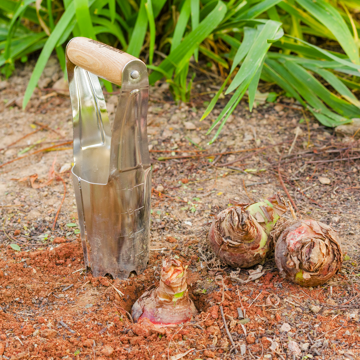 Stainless Steel Bulb Planter
