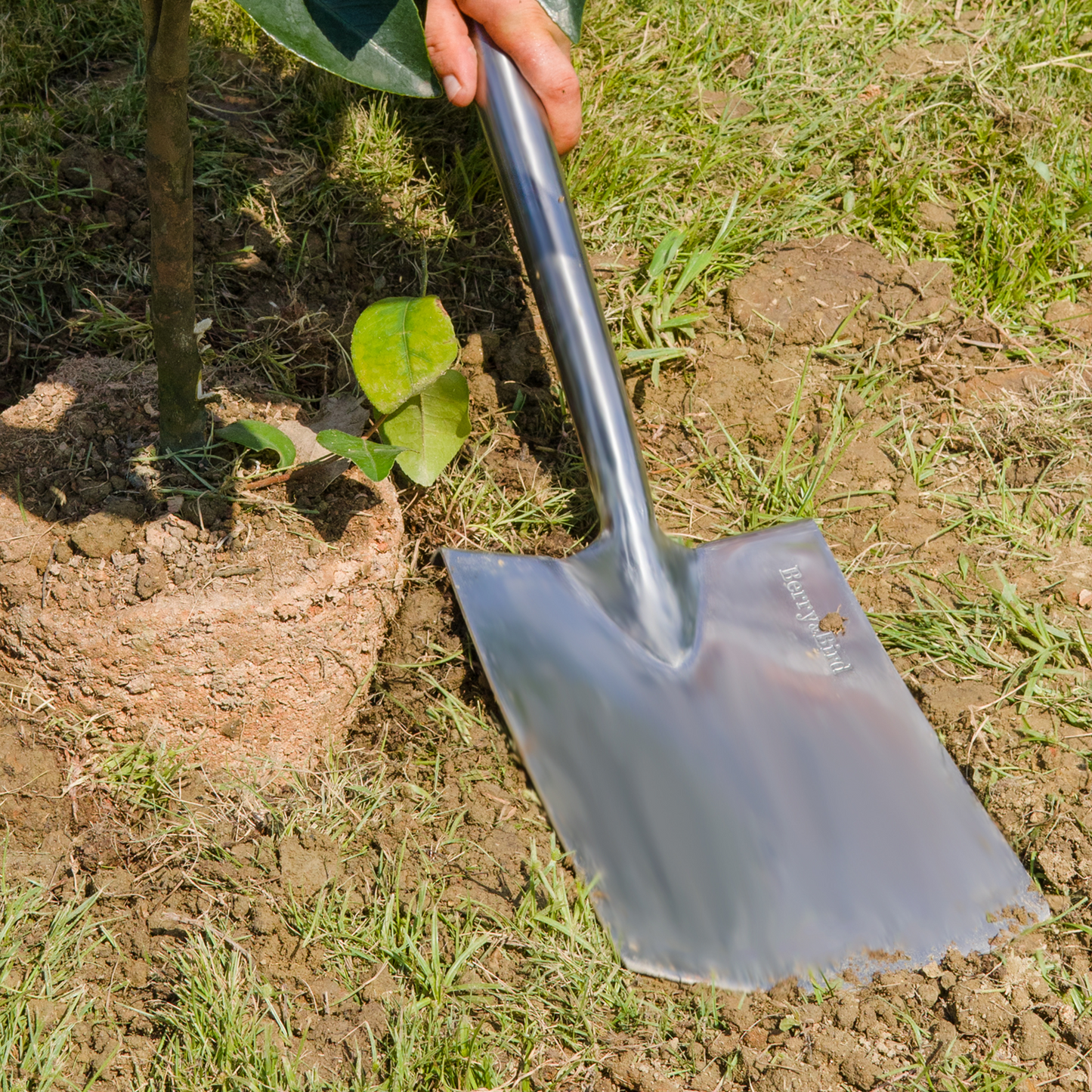 Stainless Steel Digging Spade