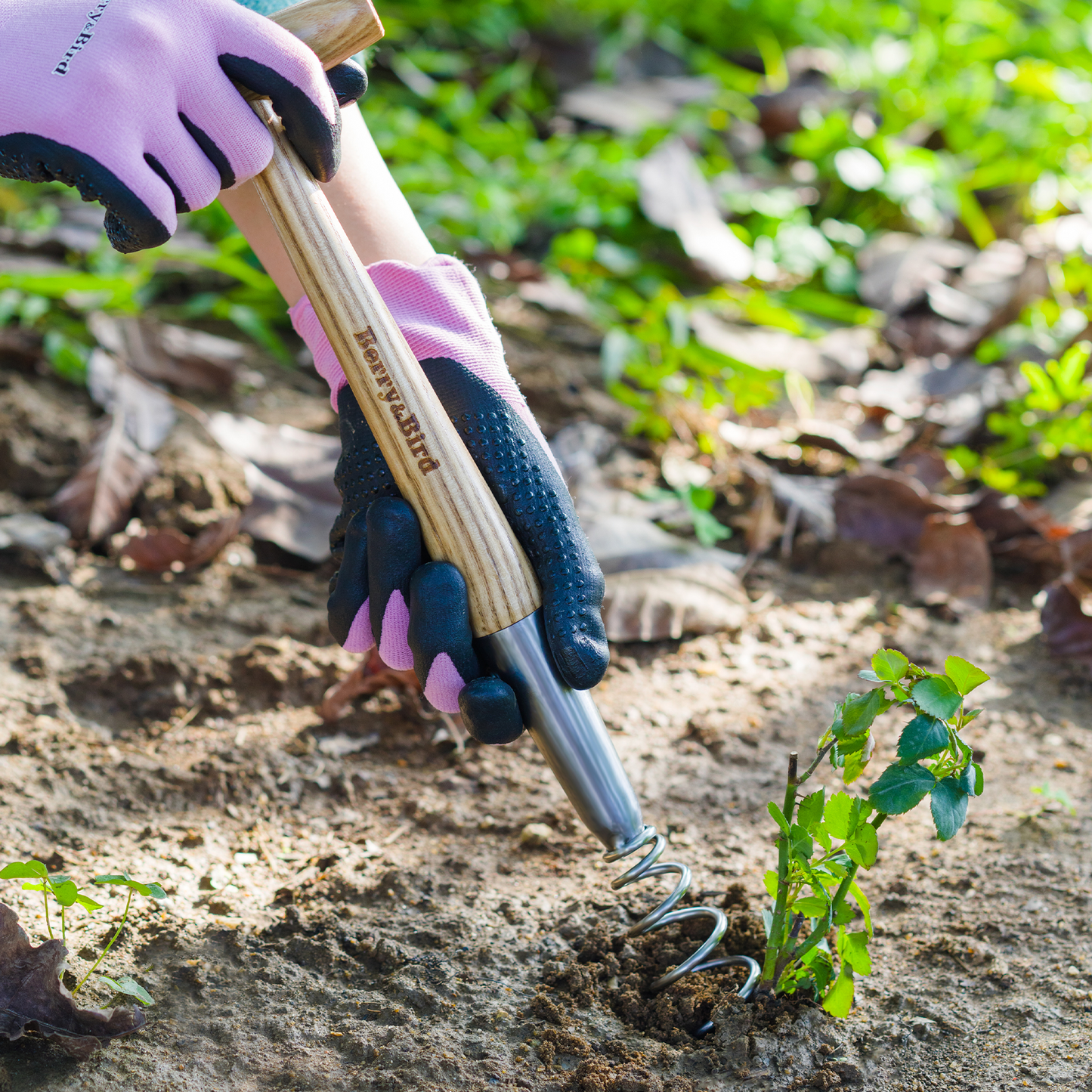 Stainless Steel Hand Corkscrew Weeder