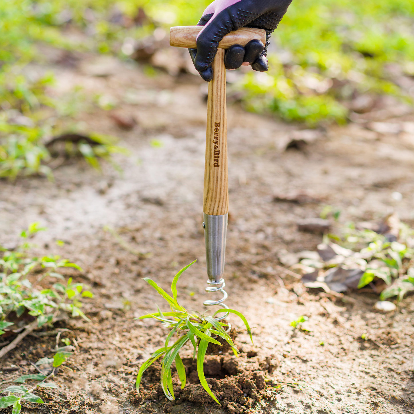 Stainless Steel Hand Corkscrew Weeder