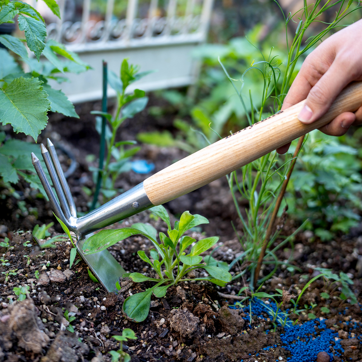 Stainless Steel Hand Double headed hoe