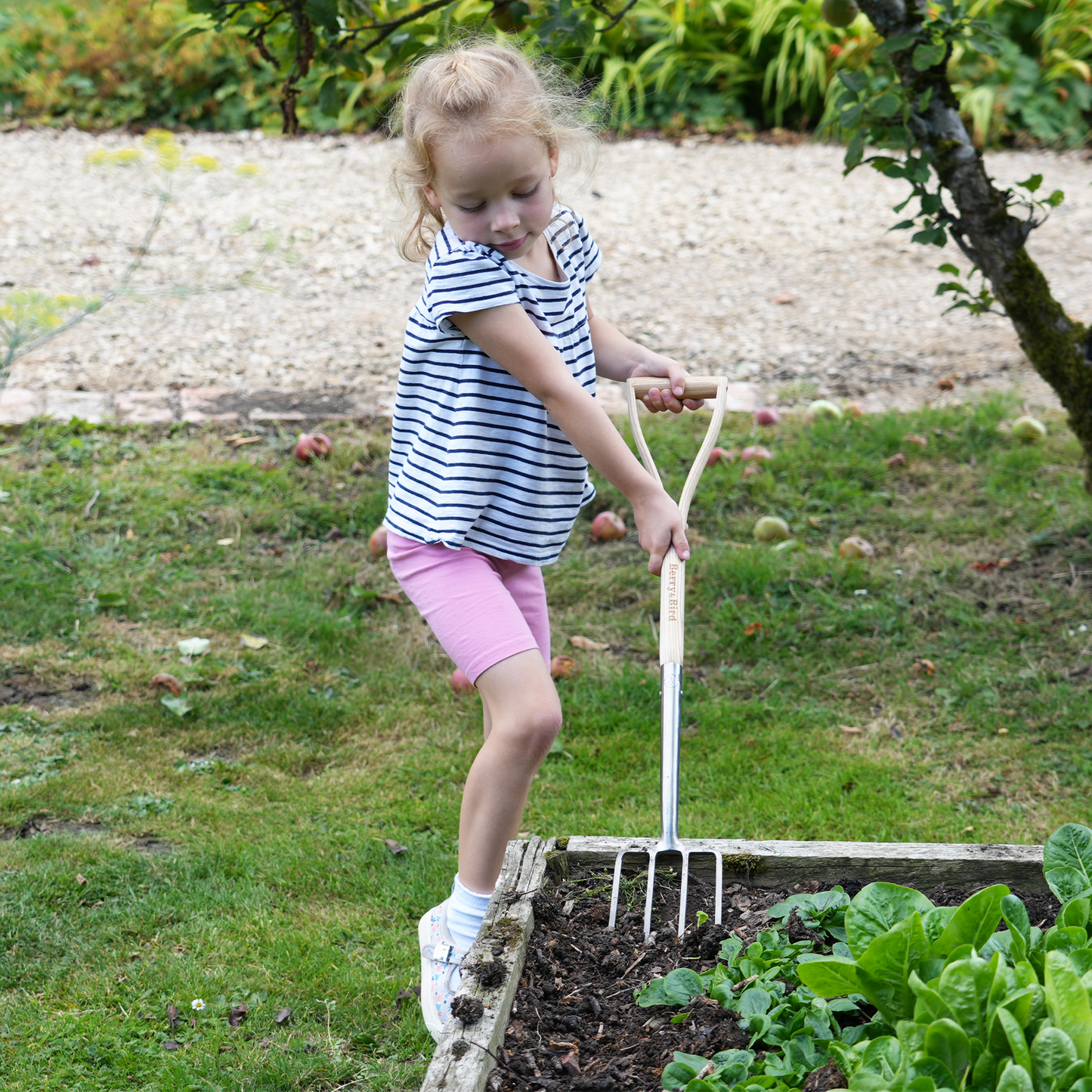 Stainless Steel Kid Range Digging Fork