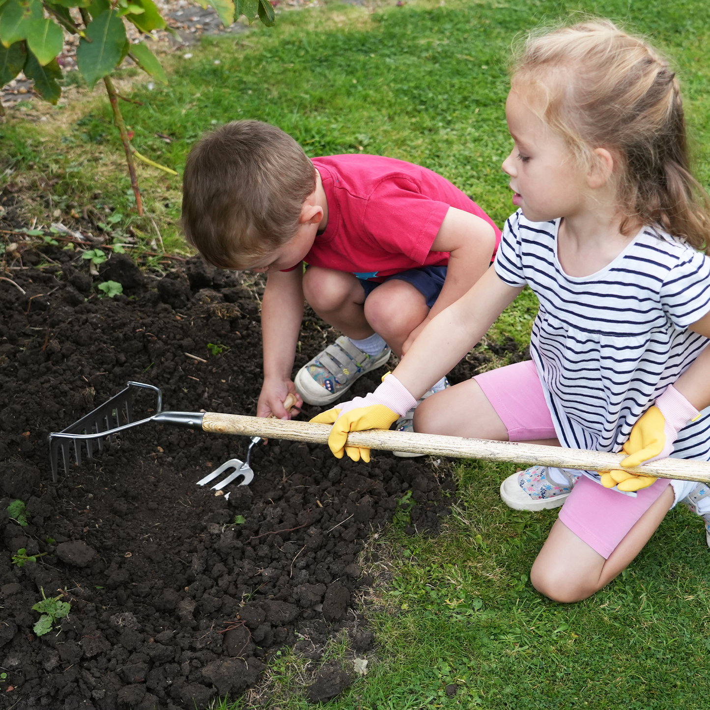 Stainless Steel Kid Range Soil Rake