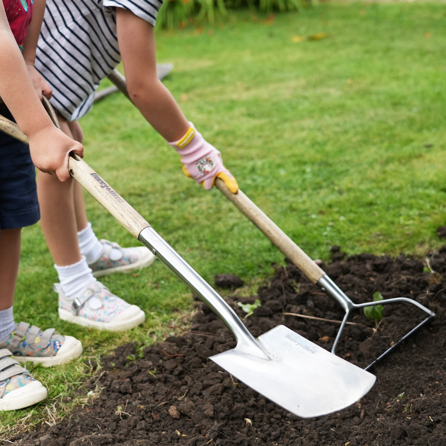 Stainless Steel Kid Range Soil Rake