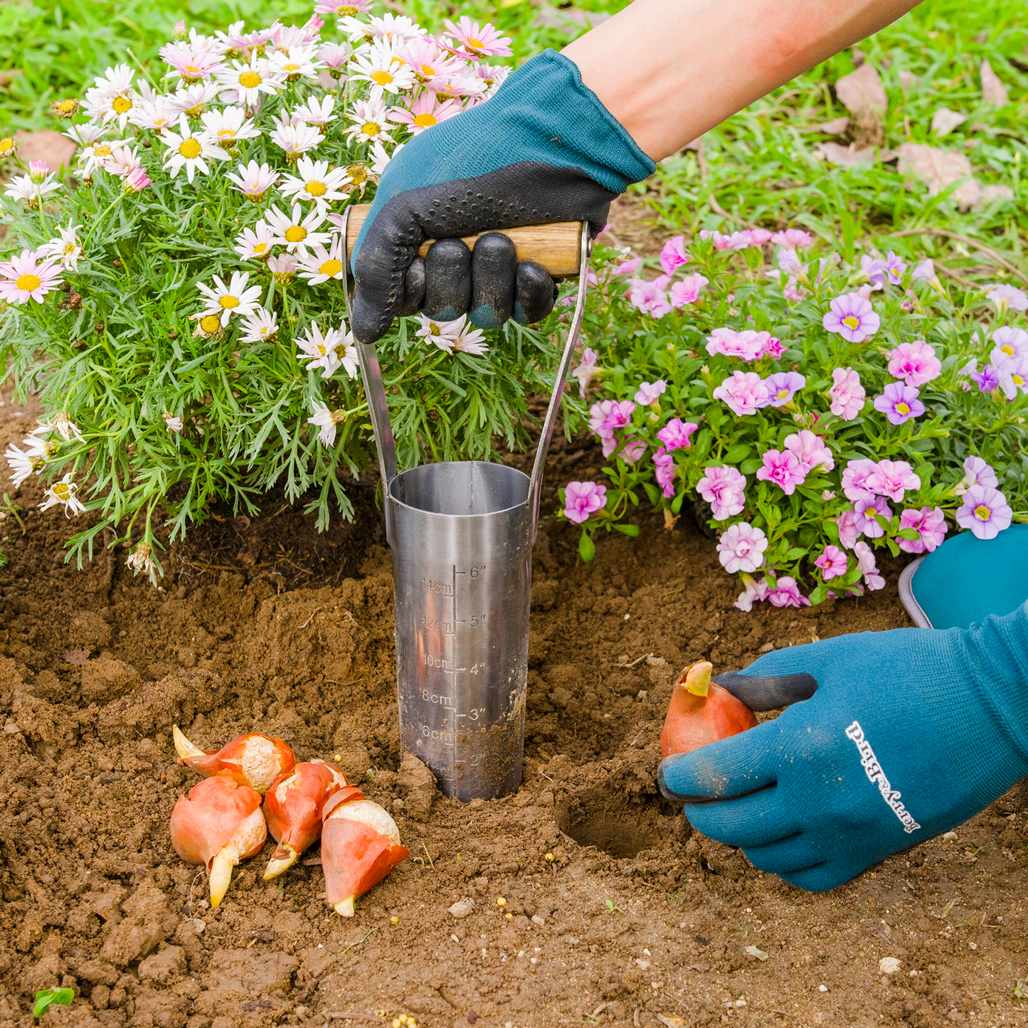 Stainless Steel Large Bulb Planter