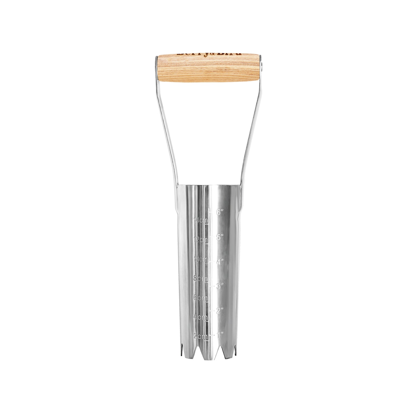 Stainless Steel Large Bulb Planter