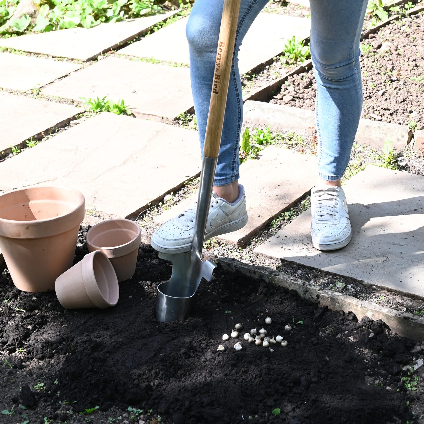 Stainless Steel Long Handle Bulb Planter