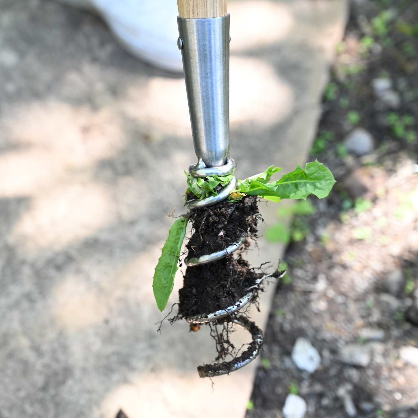 Stainless Steel Long Handle Corkscrew Weeder