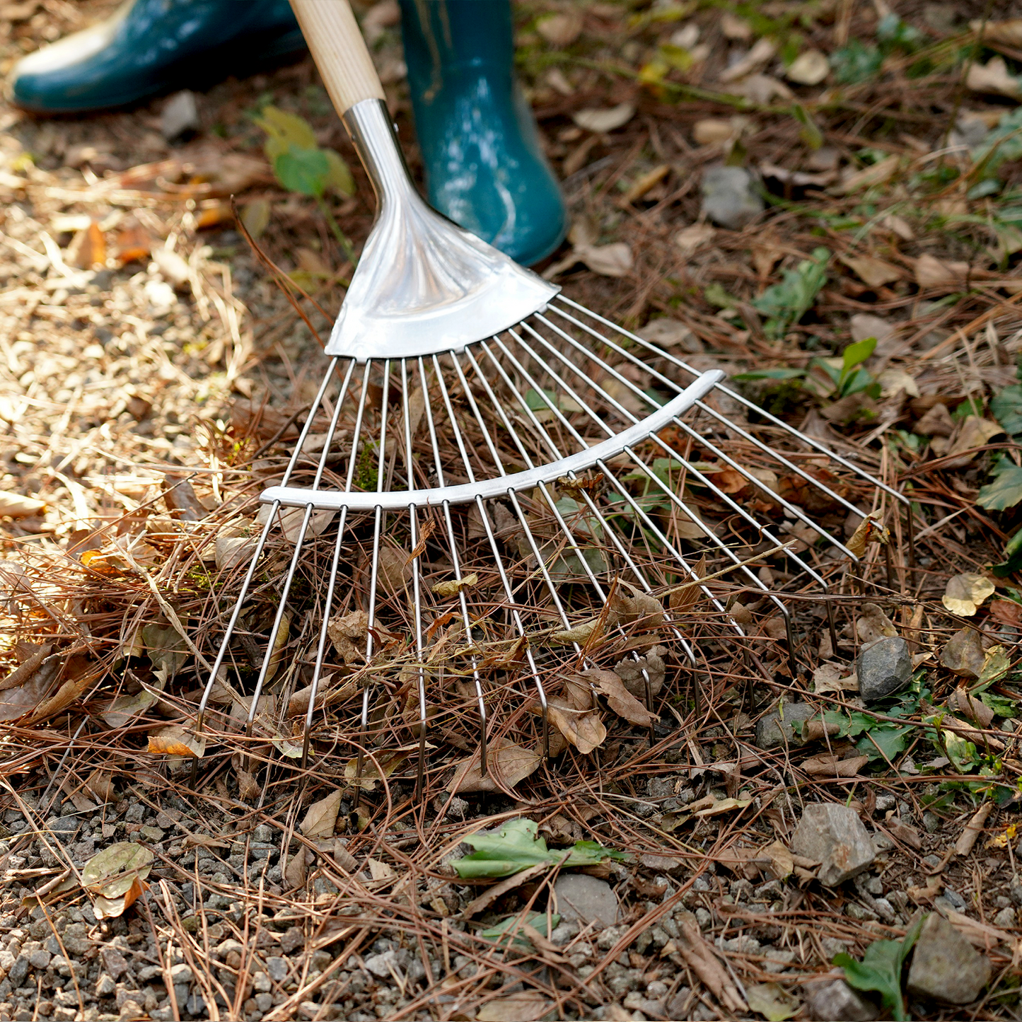 Stainless Steel Long Handle Leaf Rake