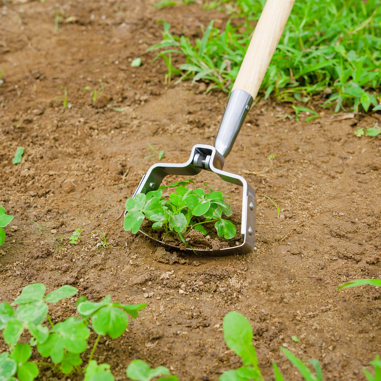 Stainless Steel Long Handle Oscillating Hoe