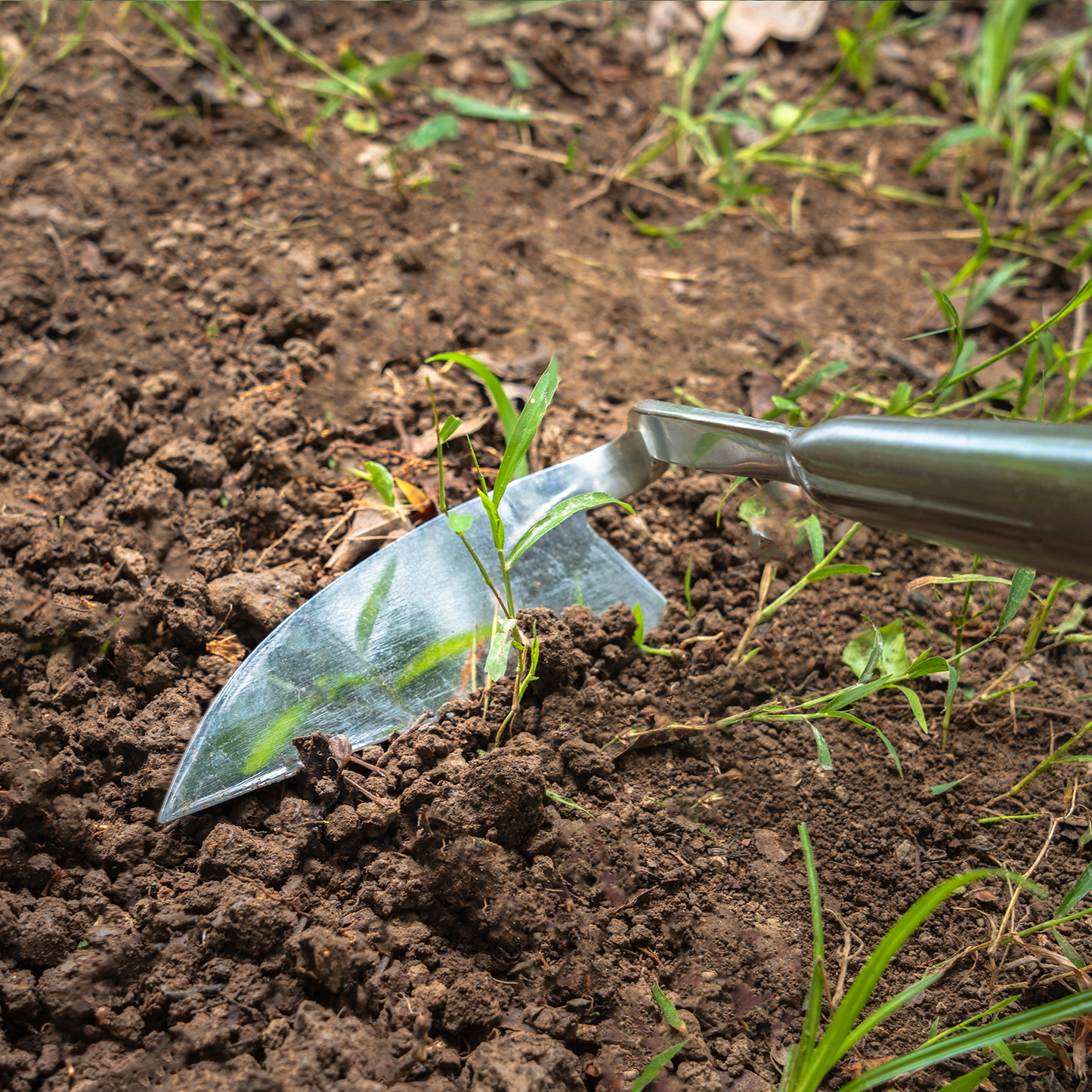 Stainless Steel Long Handle Razor Hoe