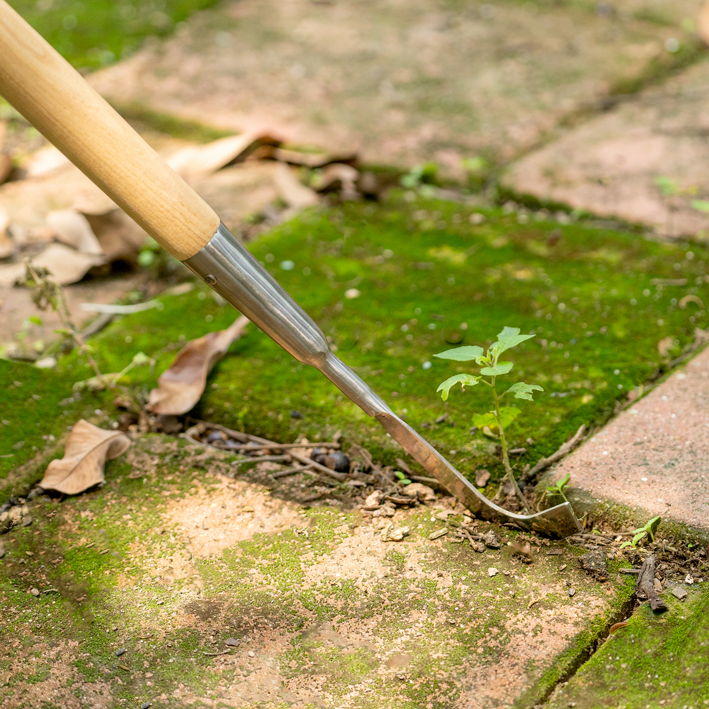 Stainless Steel Long Handle Weeding Knife
