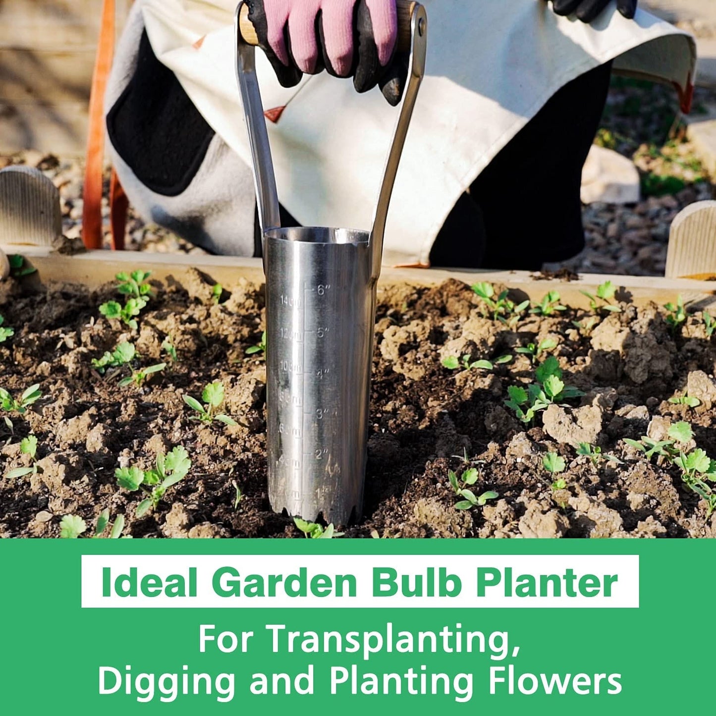 Stainless Steel Large Bulb Planter