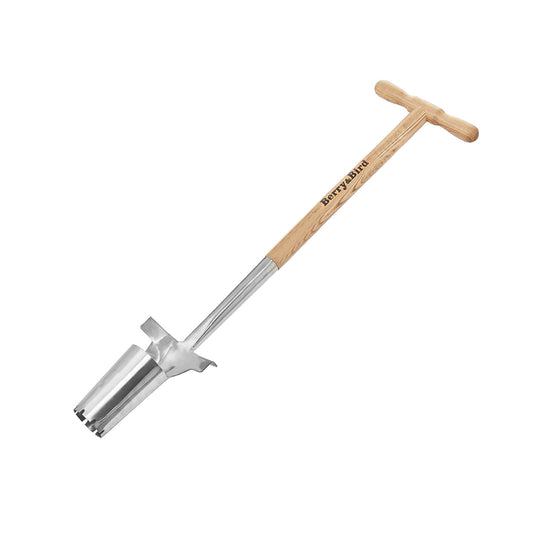 Stainless Steel Long Handle Bulb Planter
