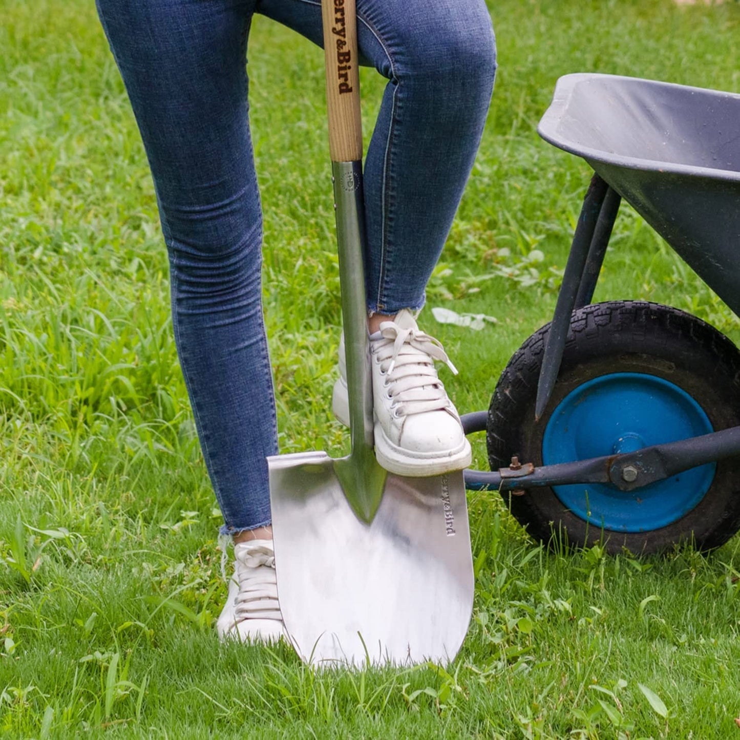 Stainless Steel Border Pointed Spade