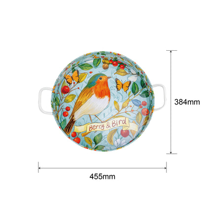 Round Metal Tray (Robin)