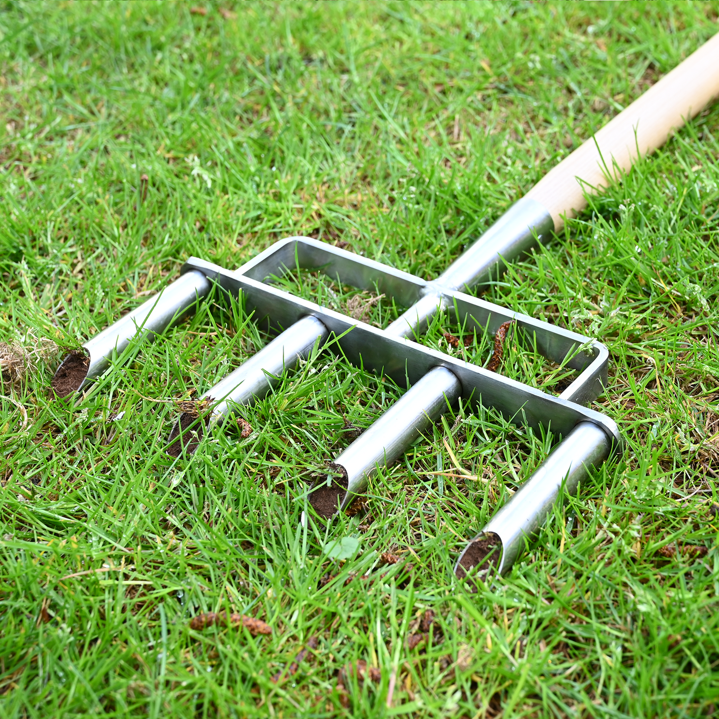 Stainless Stee Pointed Aerator
