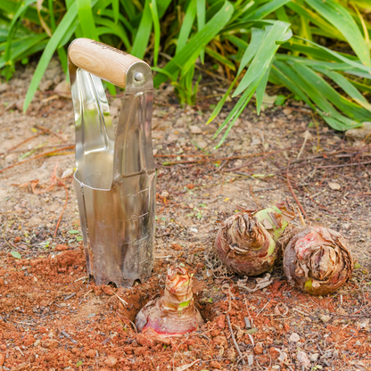 Stainless Steel Bulb Planter