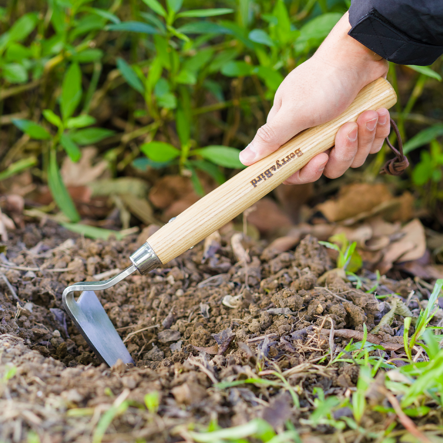 Stainless Steel Hand Razor Hoe