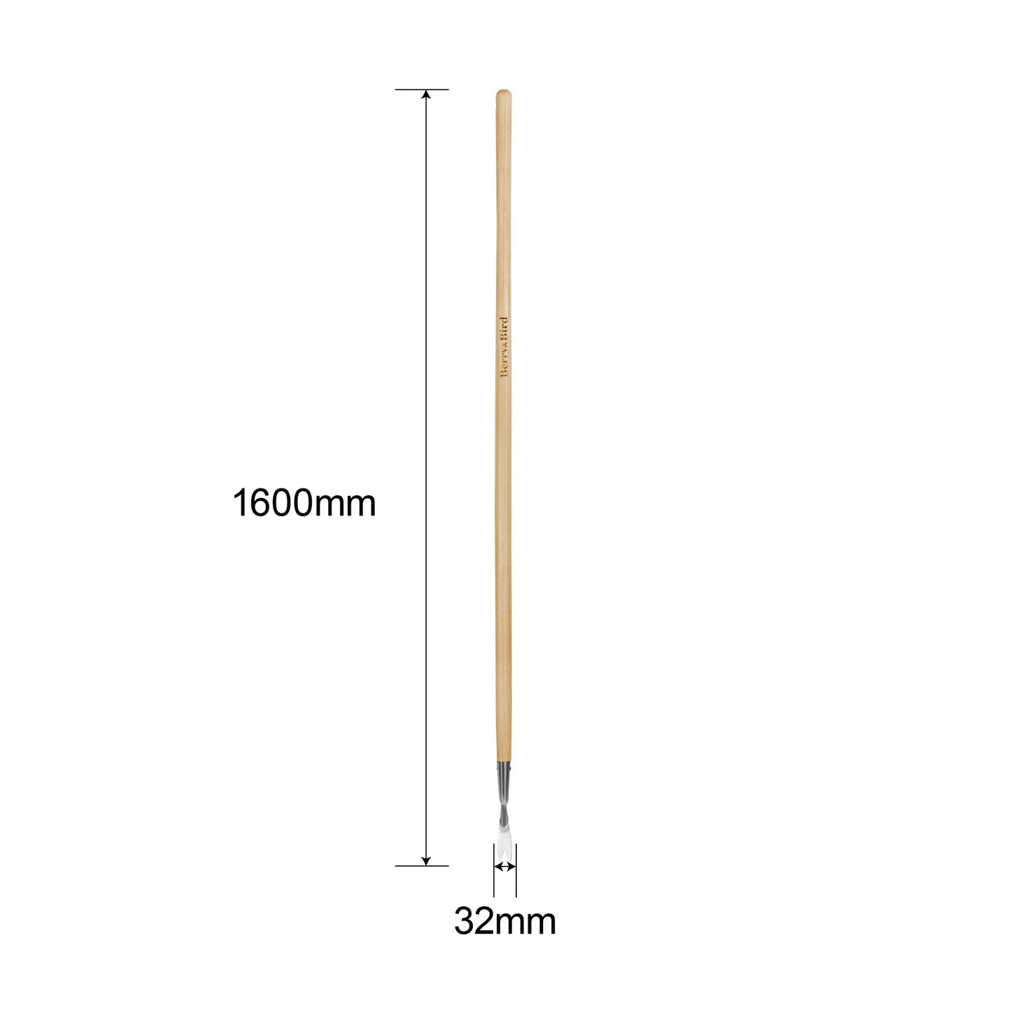Stainless Steel Long Handle Daisy Weeder