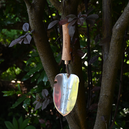 Stainless Steel Serrated Hand Trowel